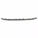 Grille Molding - Front