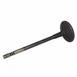Engine Exhaust Valve