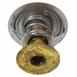 Engine Coolant Thermostat