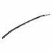 Grille Molding - Front