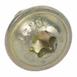 Window Regulator Screw Bolt - M6, Front, Rear