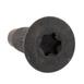 Door Lock Striker Plate Screw - M8 X 22MM, Rear