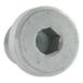 Plug Blanking Threaded (AT)