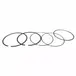 Engine Piston Ring Kit - 5.0L