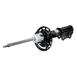 Strut Shock Absorber Suspension <br>Cartridge and Base of the - Left, Front 3.0L