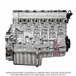 Warranty Long Block with Rear Sump Oil Pan for DD15 GHG14