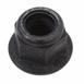 Leaf Spring Nut Flanged Hex Head - M12, Rear