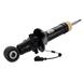 Suspension Shock Absorber - Right, Rear