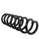 Coil Spring - Front, Rear