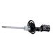 Shock Absorber Suspension Strut <br>Cartridge and Base of the - Front 18 X 7.5 Alum Unique Pnt, 18
