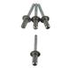 Rivet
