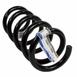 Coil Spring - Left, Right, Rear