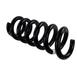 Coil Spring - Rear (GT Feature Car)