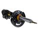Suspension Strut - Front
