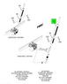 Figure 1CTTW