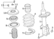 Coil Spring - Front 2.5L
