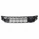 Bumper Grille - Front