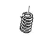 Engine Valve Spring