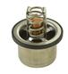 Thermostat Assembly, 160°F Weir, S60 14L DDEC IV