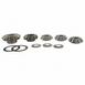 Differential Pinion Gear - Rear