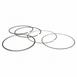 Piston Ring Kit From 11/1/11