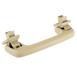 Interior Grab Bar Assist Handle - Right, Front, Rear