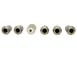 Raptor Chrome-Plated for Exposed Lug Wheel Lock Kit
