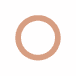 Seal Ring