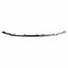 Grille Molding - Front