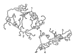 Engine Compartment Wiring Harness - Front, Passenger