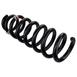 Coil Spring - Front