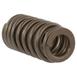 Engine Valve Spring - 3.0L.