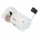 Fuel Pump and Sender (EcoBoost)