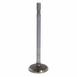 Engine Exhaust Valve