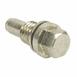 Engine Core Plug Screw And Washer Expansion - M10 X 11.5