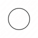 Water Pump O-Ring Seal