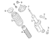 Coil Spring - Rear