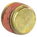 Plug Threaded - Front