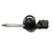 Suspension Strut Shock Absorber - Left, Front