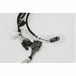 HARNESS