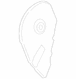 Seat Hinge Cover - Rear