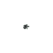 Right 4386026 Image 6