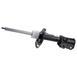 Suspension Strut Shock Absorber - Front