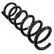 Coil Spring - Left, Right, Rear