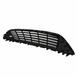 Radiator Grille - Front (SE)