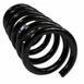 Coil Spring - Right, Rear