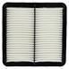 Engine Air Filter Element Cleaner