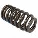 Engine Valve Spring - 5.0L